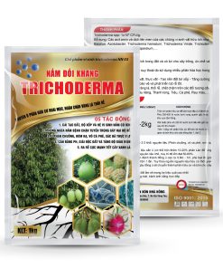 Nấm Đối Kháng Trichoderma