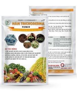 Nấm Trichoderma 8 Tỷ
