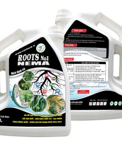 Roots No1 NEMA