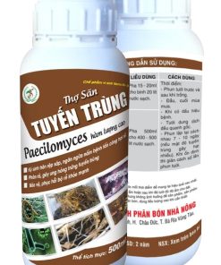 Thợ Săn Tuyến Trùng