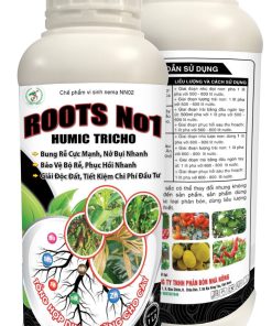 Roots No1 _ 1L