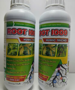 ROOT 1000