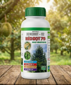 KÉO ĐỌT 79 ( Chuyên Sầu Riêng)