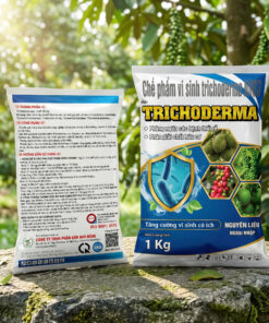 Trichoderma Nguyên Liệu Ngoại Nhập