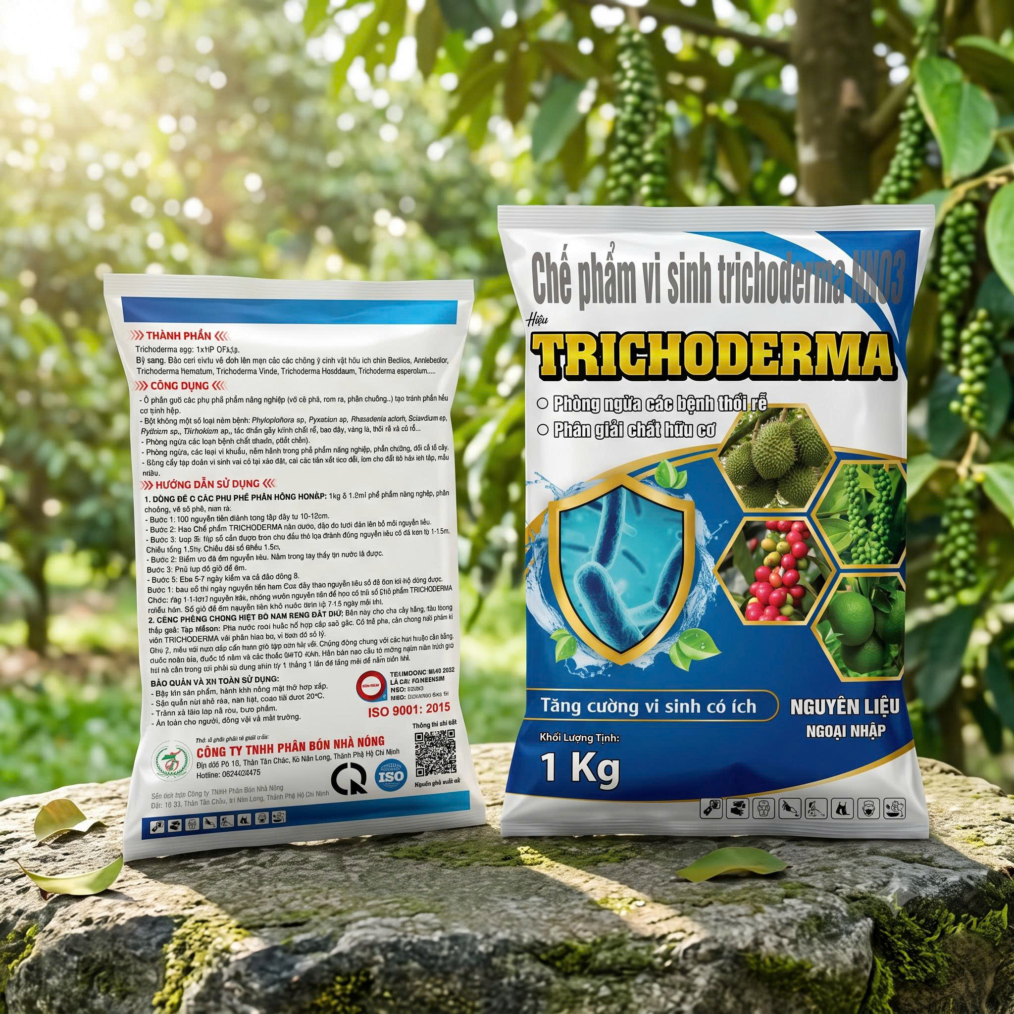 1791604913879_2140119761220981818_483893484810849086_c1570ab14768fda7b0b36b2e8c6d2e96
