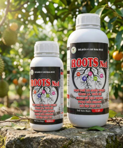 ROOTs NO1