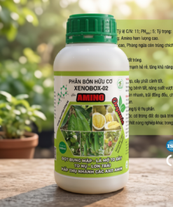 Amino