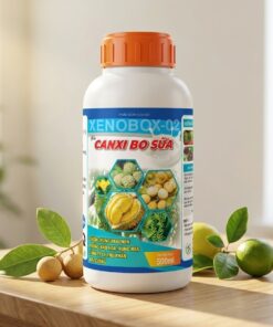 Canxi-Bo sữa